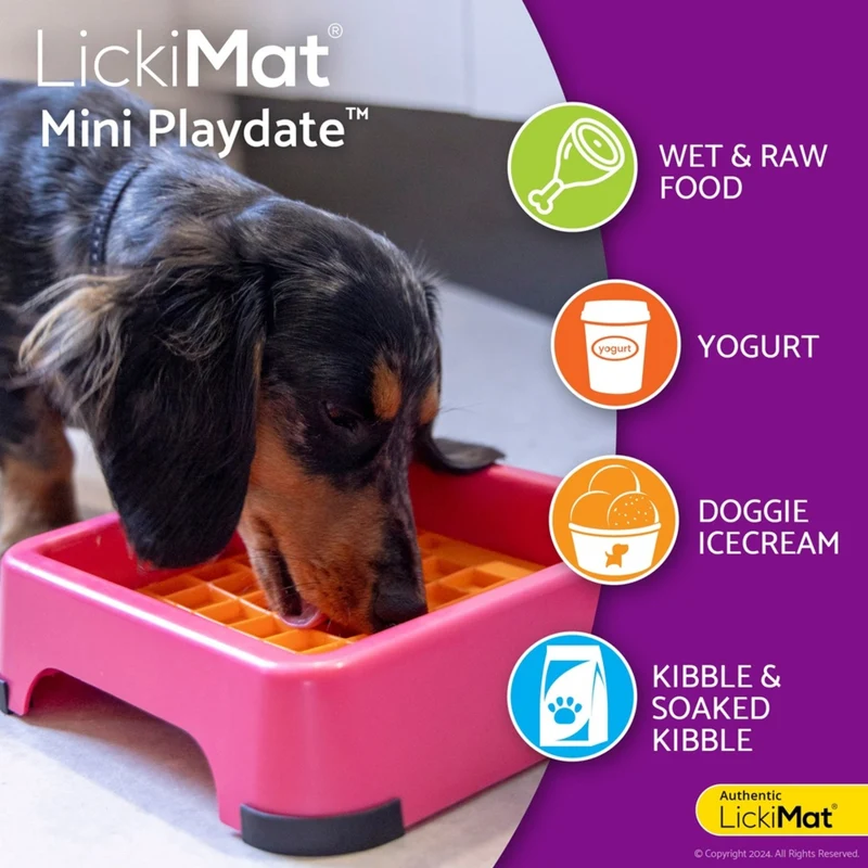 LickiMat Mini Playdate – Die beruhigende Anti-Stress Schleckmatte für kleine & mittelgroße Hunde | Slow Feeding, mentale Auslastung & pure Entspannung