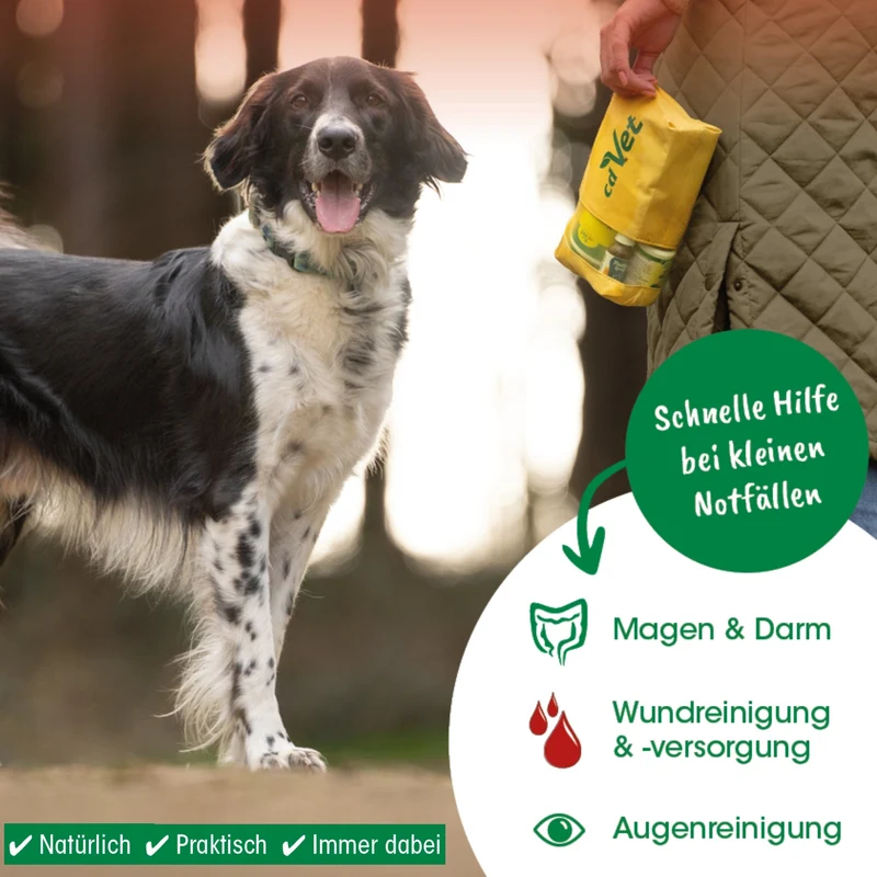 cdVet Notfall-Set für unterwegs – Erste Hilfe für Hunde bei Durchfall, Wunden, Magenproblemen & Augenpflege