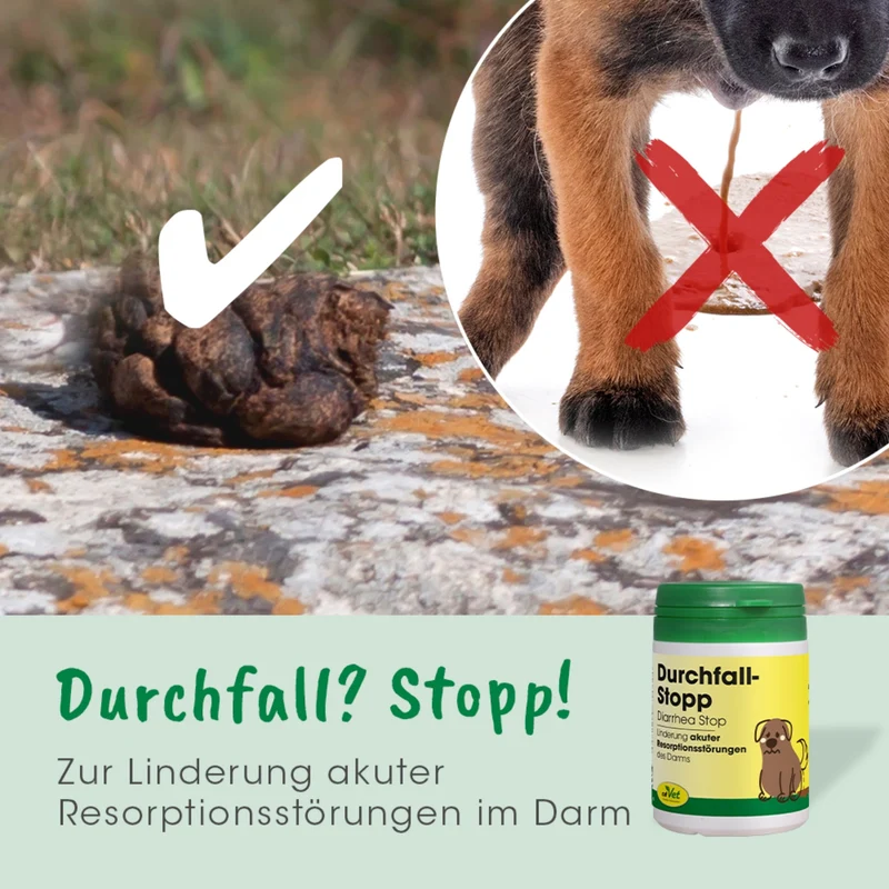 cdVet Durchfall Stopp – Natürliche Soforthilfe bei Durchfall für Hunde & Katzen | Stabilisiert die Darmflora schnell & sanft