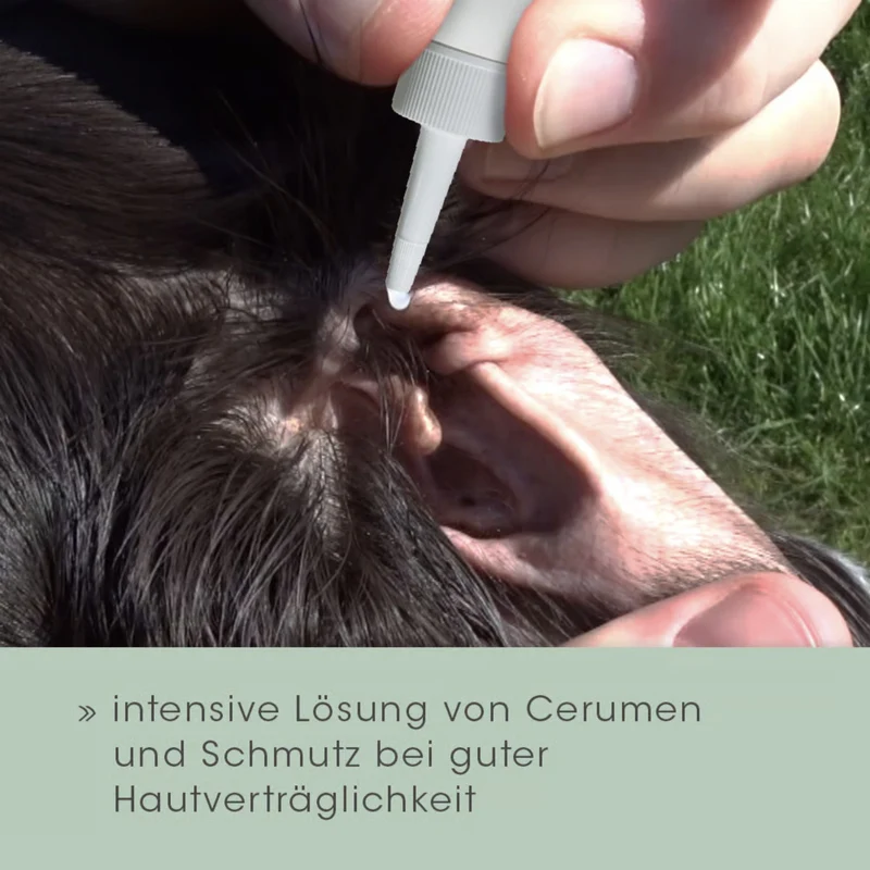 cdVet VeaVet Lebermoos Ohrspülung – Natürliche Ohrreinigung für Hunde gegen Juckreiz, Schmutz & Bakterien