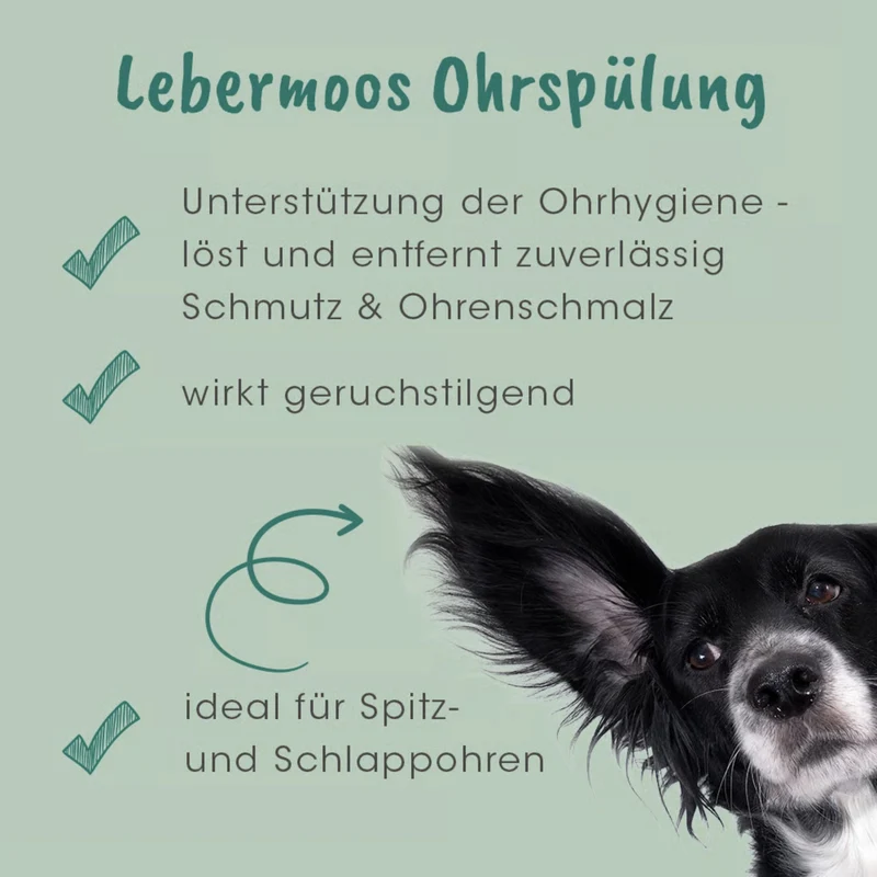 cdVet VeaVet Lebermoos Ohrspülung – Natürliche Ohrreinigung für Hunde gegen Juckreiz, Schmutz & Bakterien