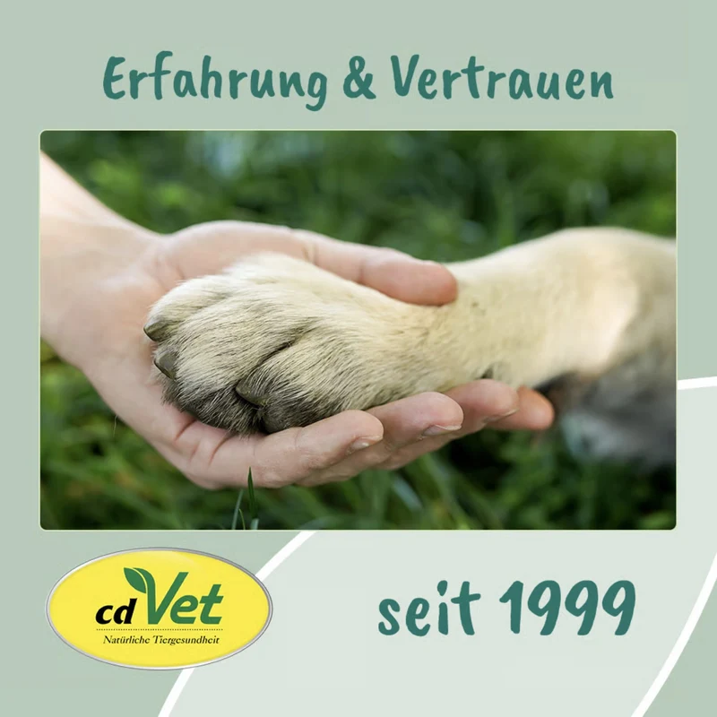 cdVet VeaVet Lebermoos Ohrspülung – Natürliche Ohrreinigung für Hunde gegen Juckreiz, Schmutz & Bakterien
