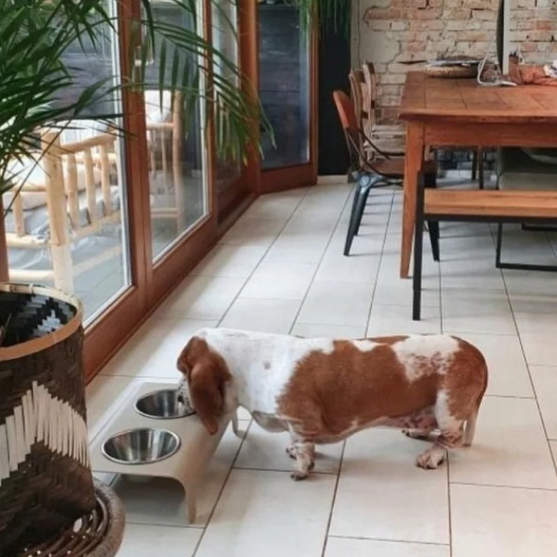 LABBVENN RICO Futterstation für Hunde | Edelstahlnäpfe | 3 Größen | Mokka