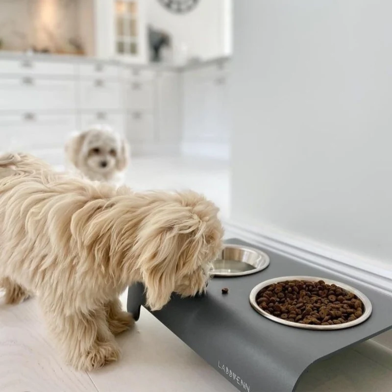 LABBVENN RICO Futterstation für Hunde | Edelstahlnäpfe | 3 Größen | Grau