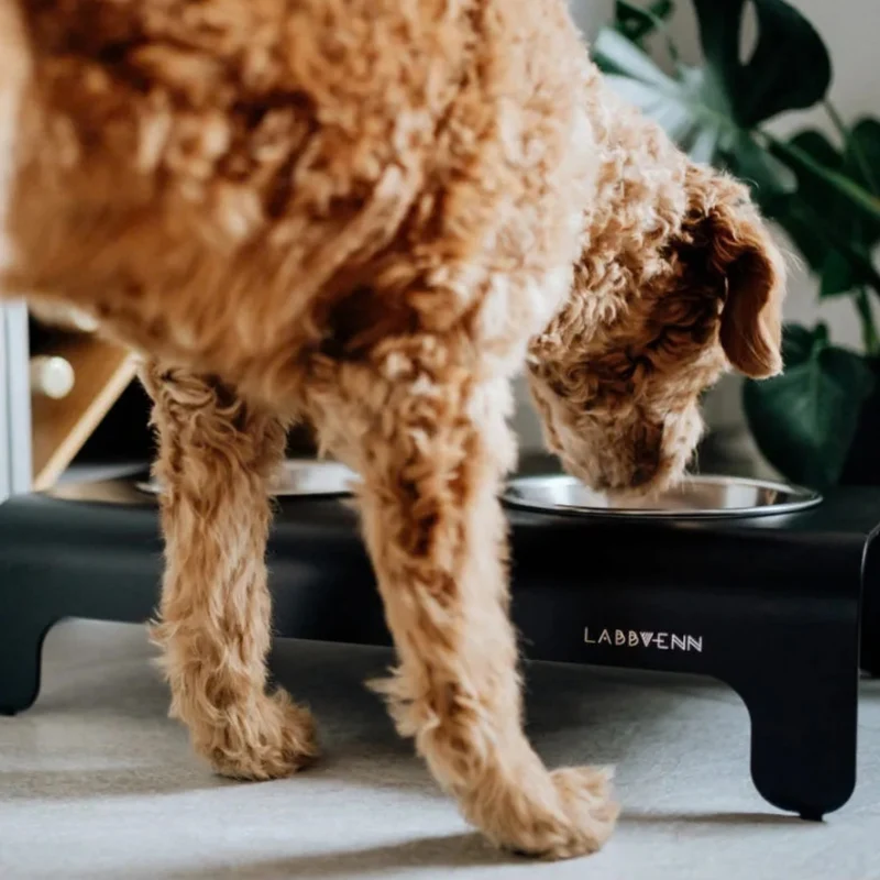 LABBVENN RICO Futterstation für Hunde | Edelstahlnäpfe | 3 Größen | Schwarz