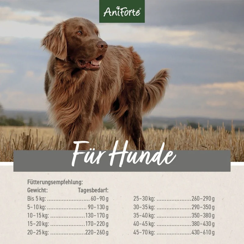 AniForte Pure Nature Rind Mini – Getreidefreies Premium-Trockenfutter für kleine Hunde mit saftigem Rind, Gemüse & Kräutern
