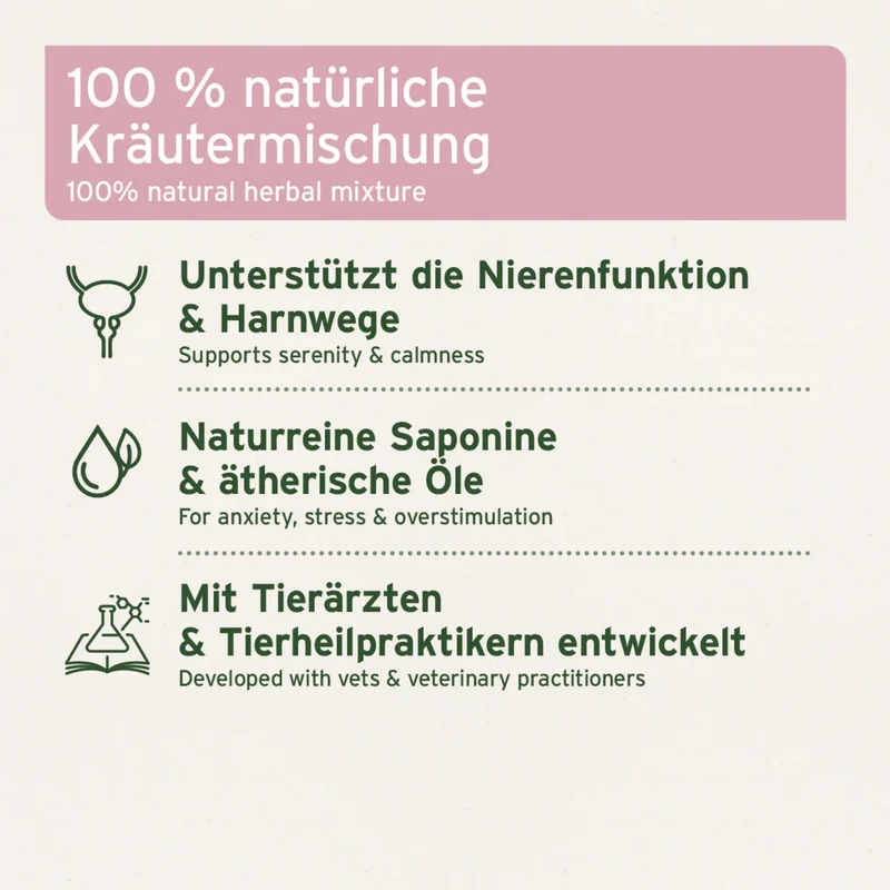 AniForte Nieren Vetal Pulver für Hunde – Natürliche Nierenunterstützung mit Kräutern & Cordyceps
