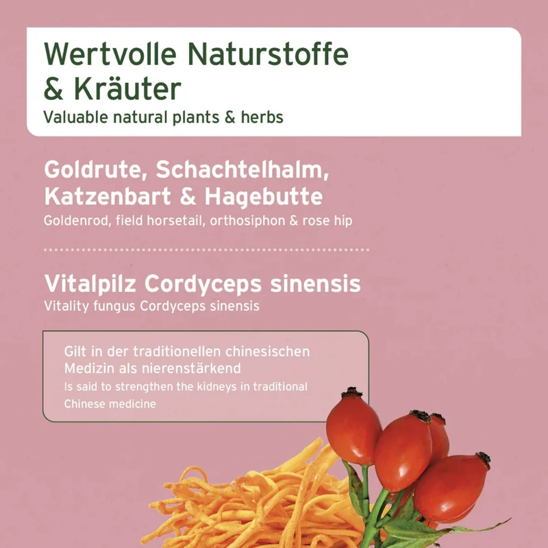 AniForte Nieren Vetal Pulver für Hunde – Natürliche Nierenunterstützung mit Kräutern & Cordyceps