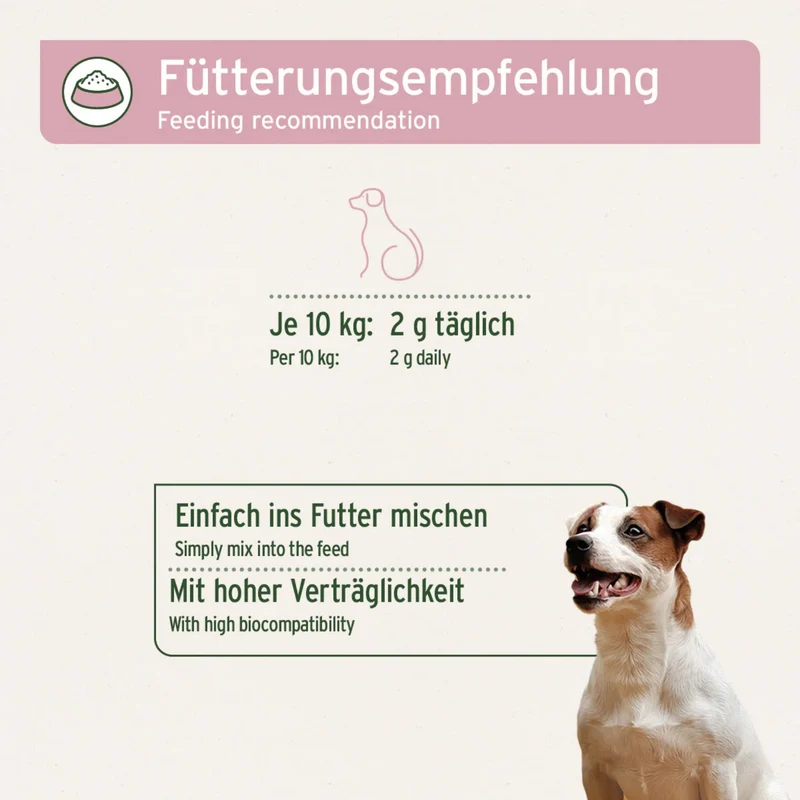 AniForte Nieren Vetal Pulver für Hunde – Natürliche Nierenunterstützung mit Kräutern & Cordyceps