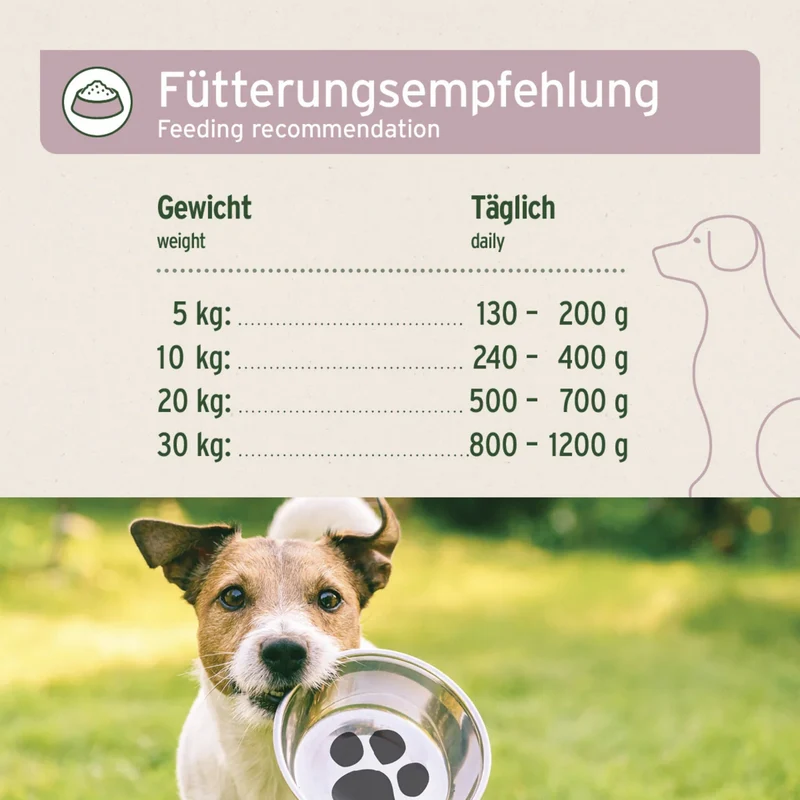 AniForte Pure Nature Freeland Duck Nassfutter – Premium Entenfleisch für sensible Hunde, 100% natürlich & hochverdaulich