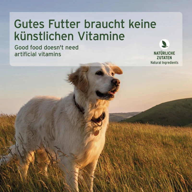 AniForte Pure Nature Freeland Duck Nassfutter – Premium Entenfleisch für sensible Hunde, 100% natürlich & hochverdaulich