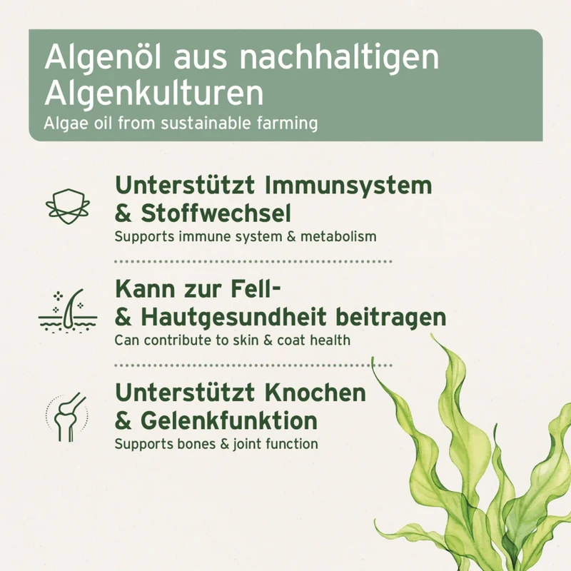 AniForte Algenöl für Hunde – Natürliche Omega-3 Quelle für Haut & Fell