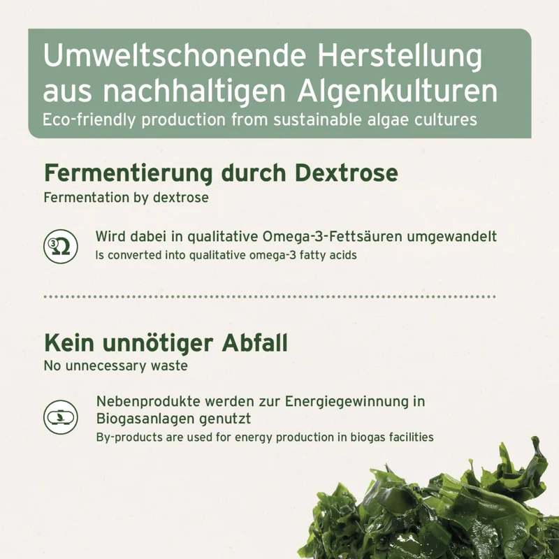 AniForte Algenöl für Hunde – Natürliche Omega-3 Quelle für Haut & Fell