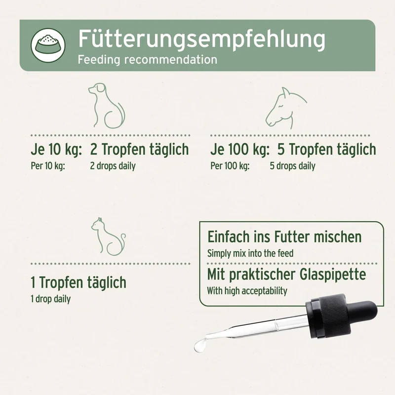 AniForte Algenöl für Hunde – Natürliche Omega-3 Quelle für Haut & Fell