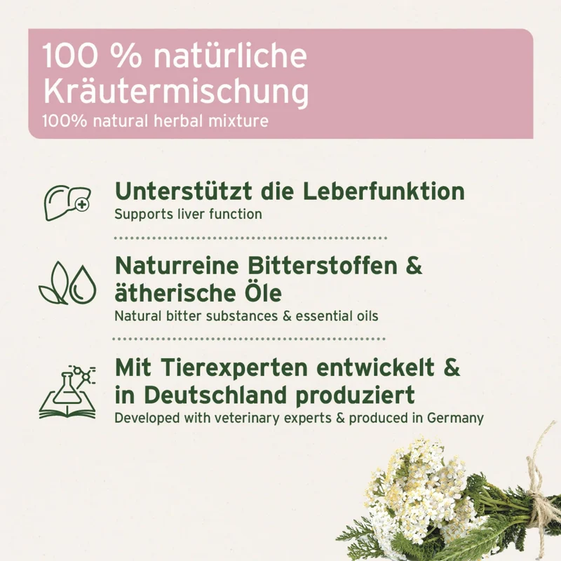 AniForte LeberVetal Pulver – Natürliche Leberstärkung für Hunde mit Mariendistel & Artischocke