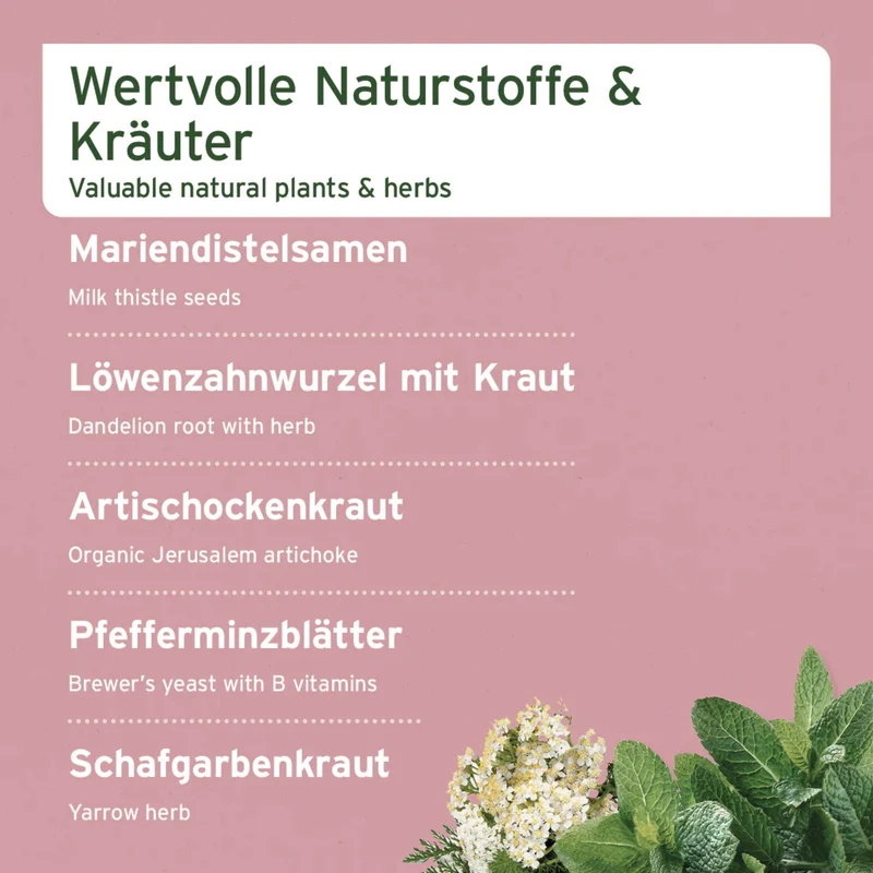 AniForte LeberVetal Pulver – Natürliche Leberstärkung für Hunde mit Mariendistel & Artischocke