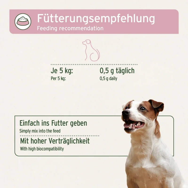 AniForte LeberVetal Pulver – Natürliche Leberstärkung für Hunde mit Mariendistel & Artischocke