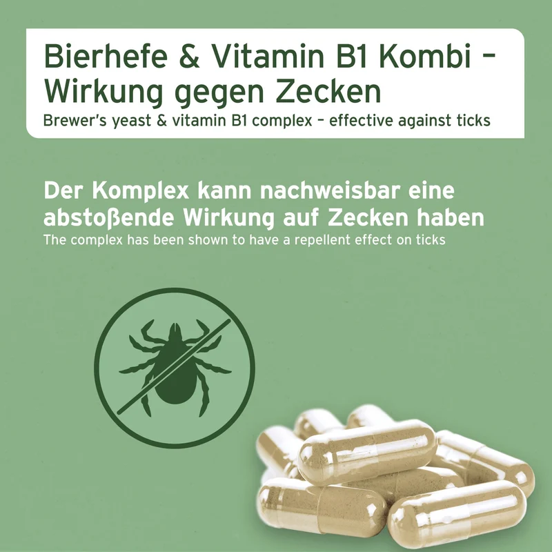 AniForte ZeckenSchild Kapseln für Hunde – Natürlicher Zeckenschutz mit Bierhefe & Vitamin B-Komplex für starke Hautbarriere und Abwehrkraft