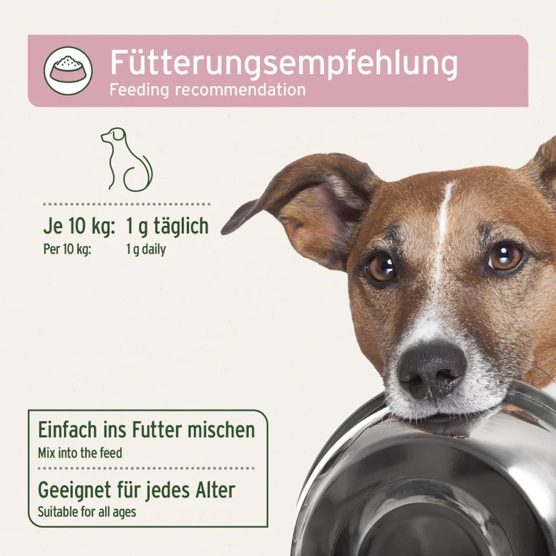 AniForte Blasen-Formel Pulver für Hunde – Natürliche Unterstützung bei Blasenschwäche & Harnwegsproblemen