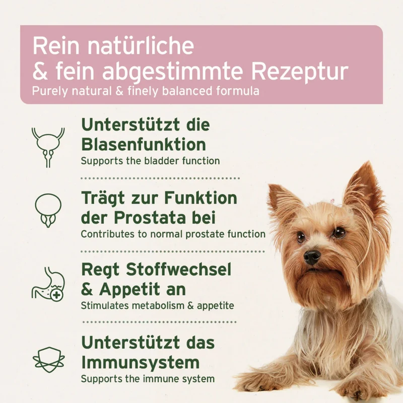 AniForte Blasen-Formel Pulver für Hunde – Natürliche Unterstützung bei Blasenschwäche & Harnwegsproblemen