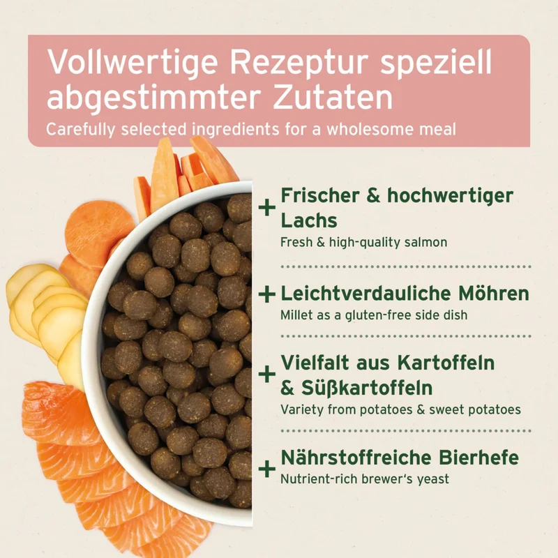 AniForte Pure Nature Fjord Salmon Premium Lachs Trockenfutter – Kaltgepresst & Hochverdaulich für ausgewachsene & ältere Hunde