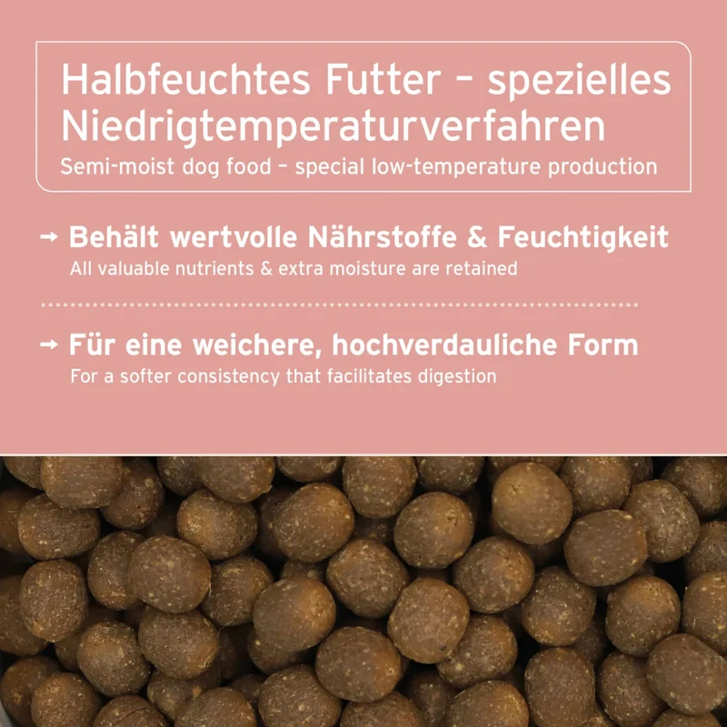 AniForte Pure Nature Fjord Salmon Premium Lachs Trockenfutter – Kaltgepresst & Hochverdaulich für ausgewachsene & ältere Hunde