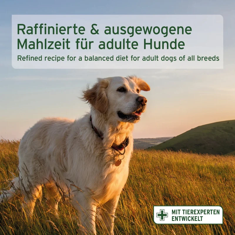 AniForte Pure Nature Fjord Salmon Premium Lachs Trockenfutter – Kaltgepresst & Hochverdaulich für ausgewachsene & ältere Hunde