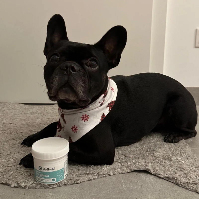 AniForte Ohren-Reinigungspads für Hunde – Sanfte & natürliche Ohrenpflege gegen Juckreiz, Geruch & Verschmutzung