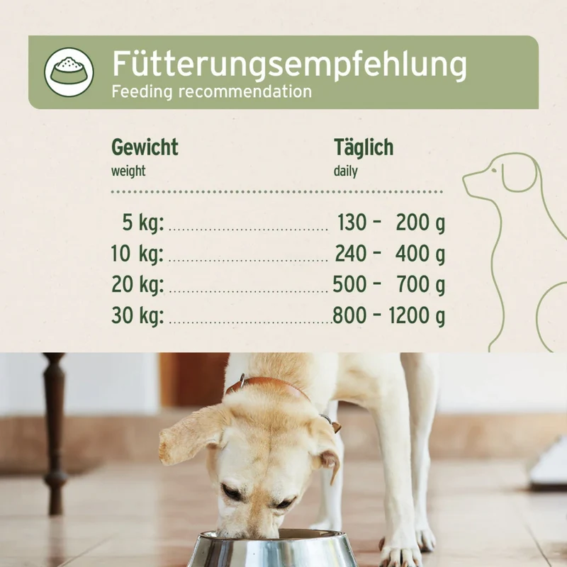 AniForte Pure Nature Pferd Pur – Premium Hunde Nassfutter, getreidefrei & naturbelassen