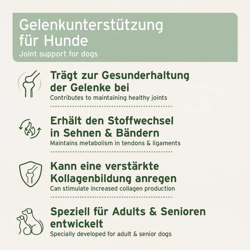 AniForte AgilityVET Gelenktabletten – Natürliche Gelenkunterstützung für aktive Hunde mit Kollagen & Grünlippmuschel