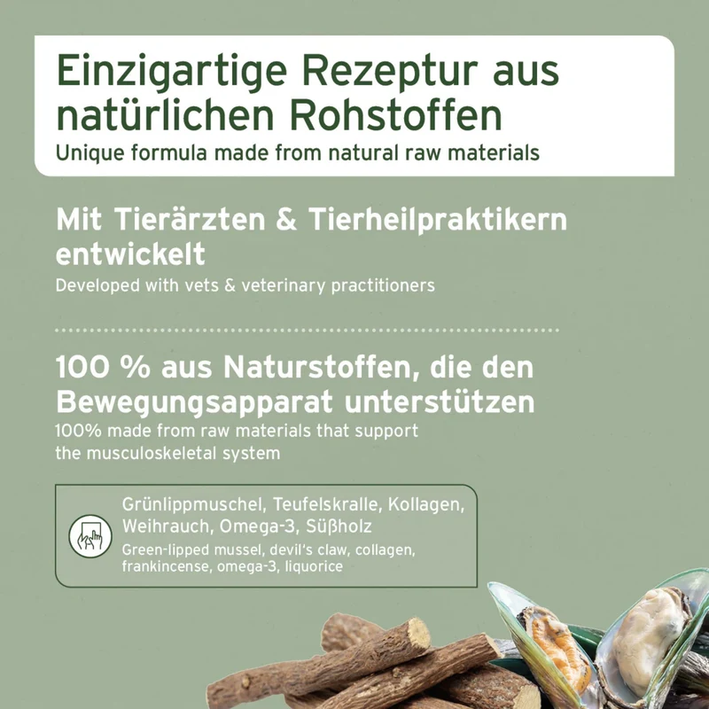 AniForte AgilityVET Gelenktabletten – Natürliche Gelenkunterstützung für aktive Hunde mit Kollagen & Grünlippmuschel