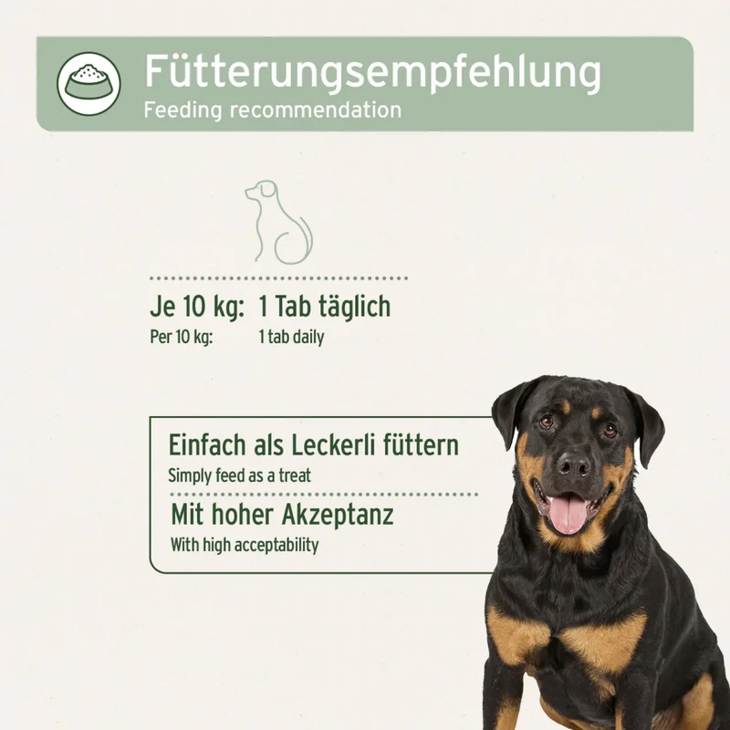 AniForte AgilityVET Gelenktabletten – Natürliche Gelenkunterstützung für aktive Hunde mit Kollagen & Grünlippmuschel