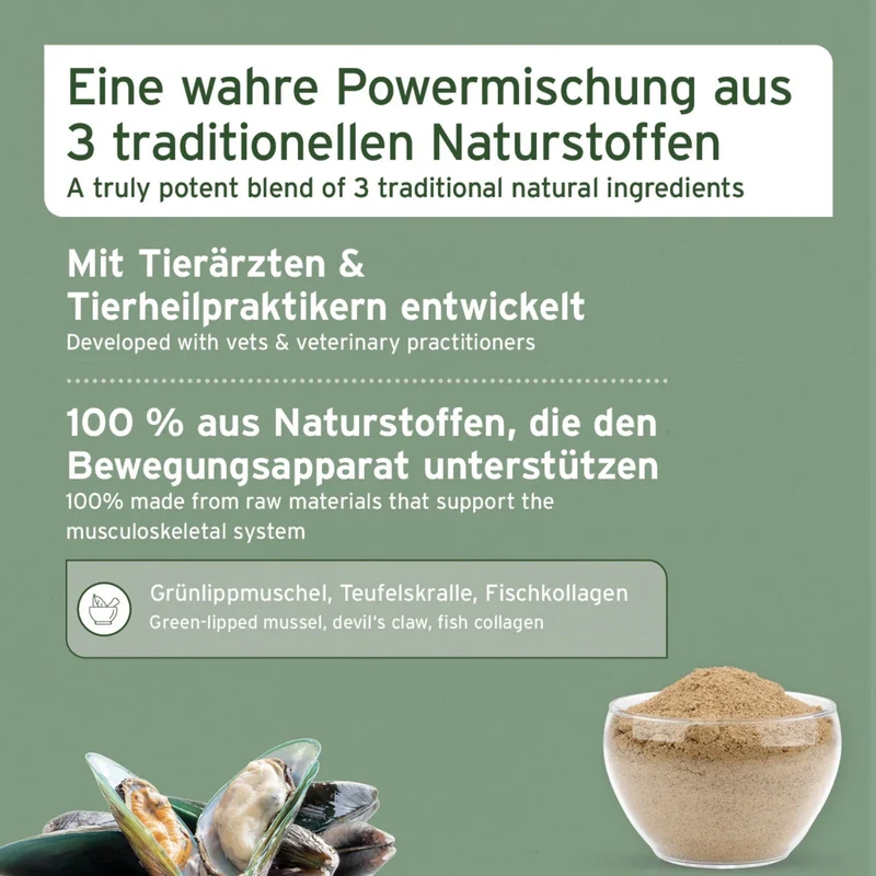 AniForte GelenkVETAL Pulver – Natürliche Gelenkunterstützung für bewegungsfreudige Hunde