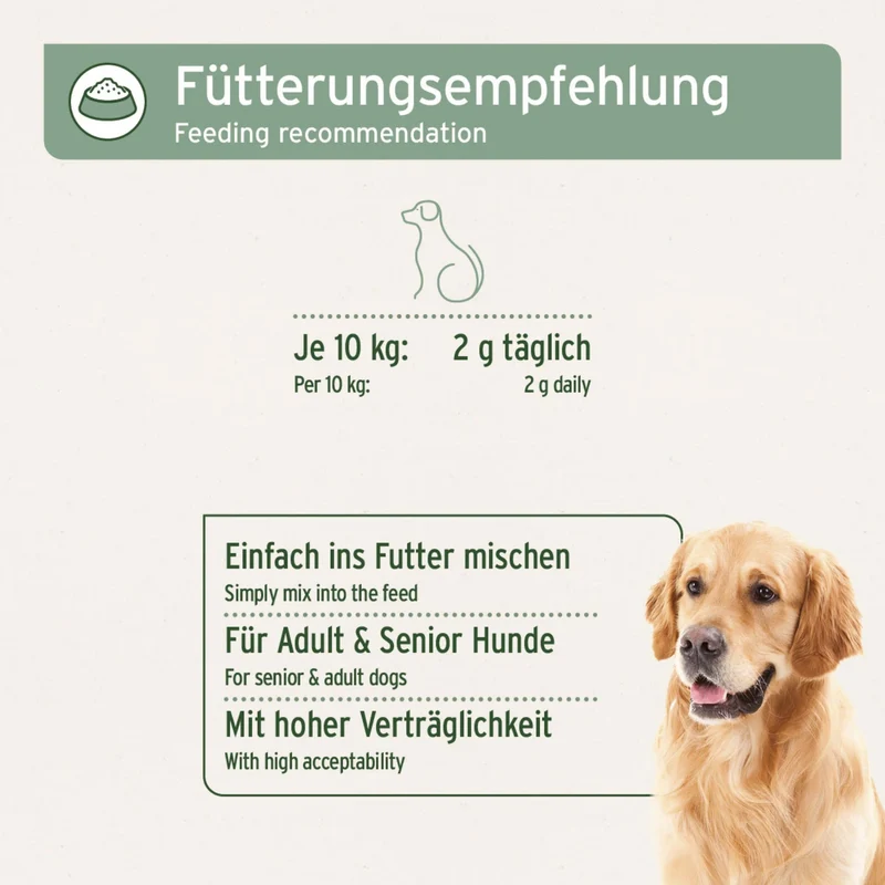 AniForte GelenkVETAL Pulver – Natürliche Gelenkunterstützung für bewegungsfreudige Hunde