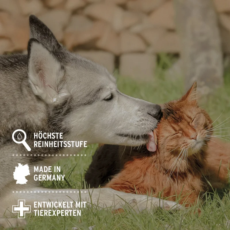 AniForte Silberwasser Spray für Hunde & Katzen – Natürliche Hautpflege bei Wunden, Juckreiz & Hautirritationen