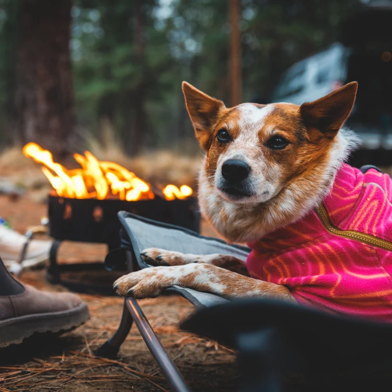 Ruffwear Mt. EverRest Hundebett – Erhöhtes, tragbares Premium-Hundebett für Zuhause, Camping und unterwegs