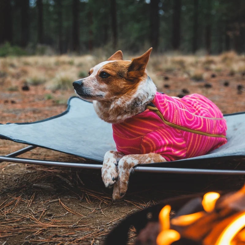 Ruffwear Mt. EverRest Hundebett – Erhöhtes, tragbares Premium-Hundebett für Zuhause, Camping und unterwegs