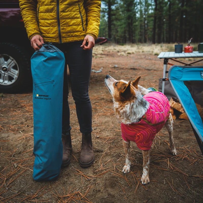 Ruffwear Mt. EverRest Hundebett – Erhöhtes, tragbares Premium-Hundebett für Zuhause, Camping und unterwegs