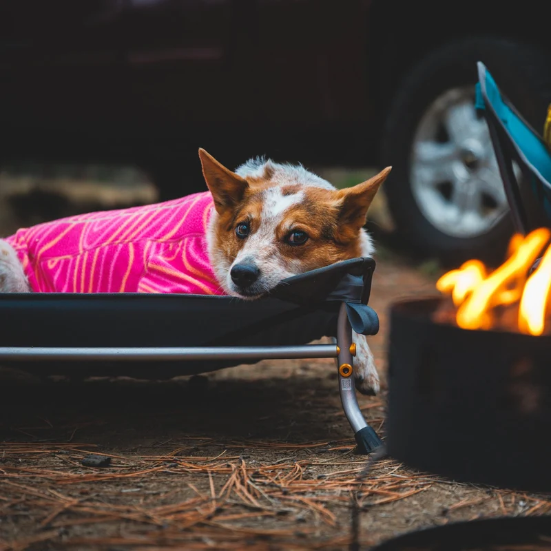 Ruffwear Mt. EverRest Hundebett – Erhöhtes, tragbares Premium-Hundebett für Zuhause, Camping und unterwegs