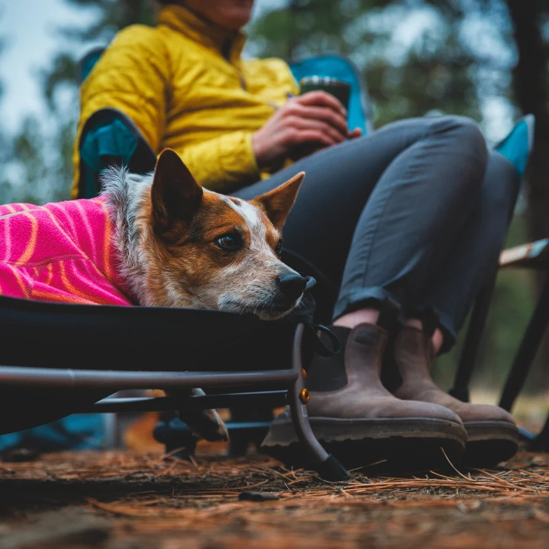 Ruffwear Mt. EverRest Hundebett – Erhöhtes, tragbares Premium-Hundebett für Zuhause, Camping und unterwegs