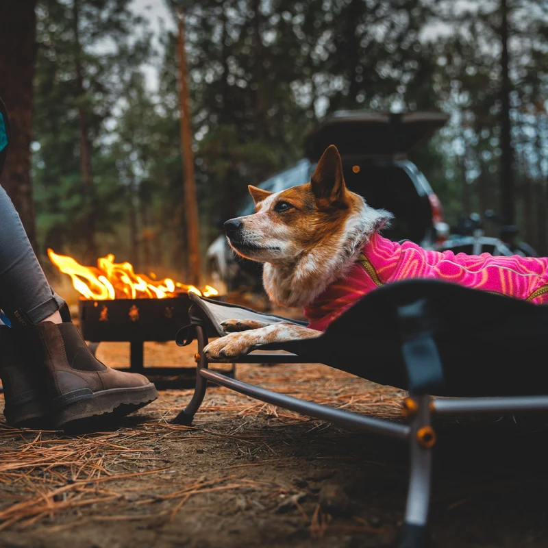 Ruffwear Mt. EverRest Hundebett – Erhöhtes, tragbares Premium-Hundebett für Zuhause, Camping und unterwegs