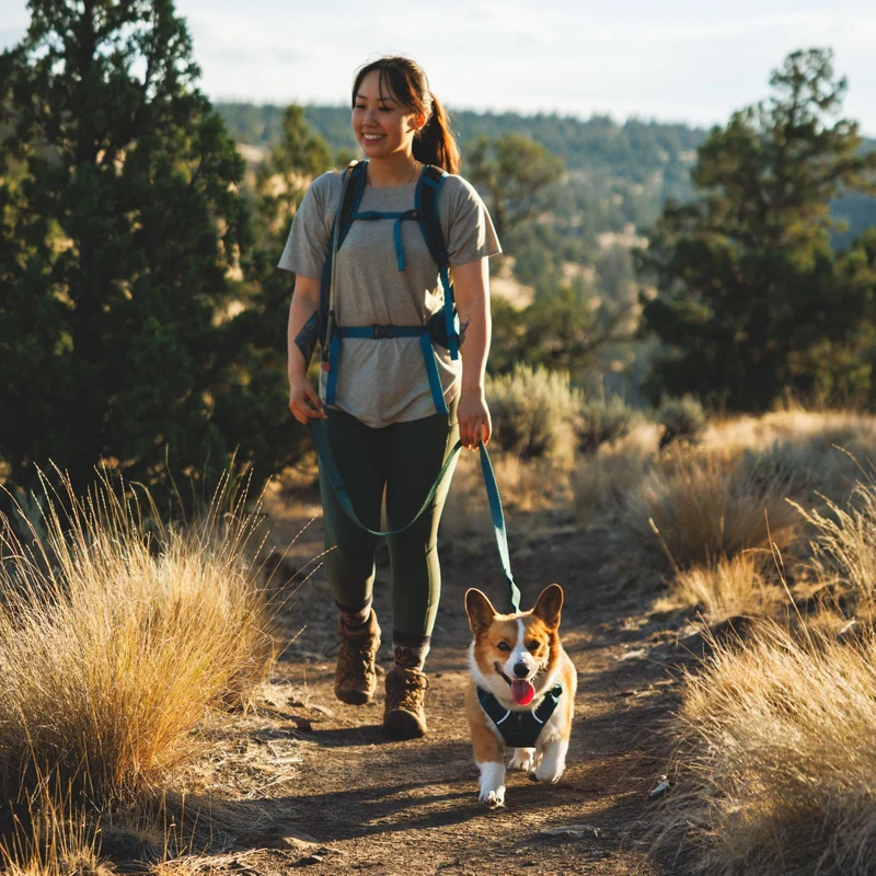 Ruffwear Front Range Flex Leash – Reflektierende Premium-Hundeleine mit weichem Griff für maximale Kontrolle und Komfort bei jedem Abenteuer