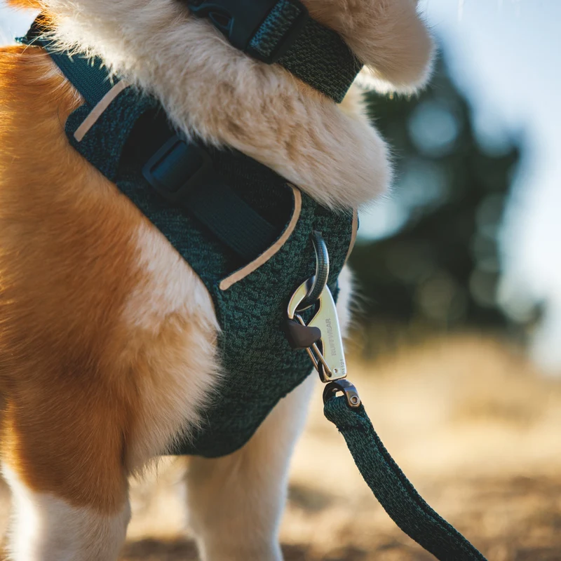 Ruffwear Front Range Flex Leash – Reflektierende Premium-Hundeleine mit weichem Griff für maximale Kontrolle und Komfort bei jedem Abenteuer