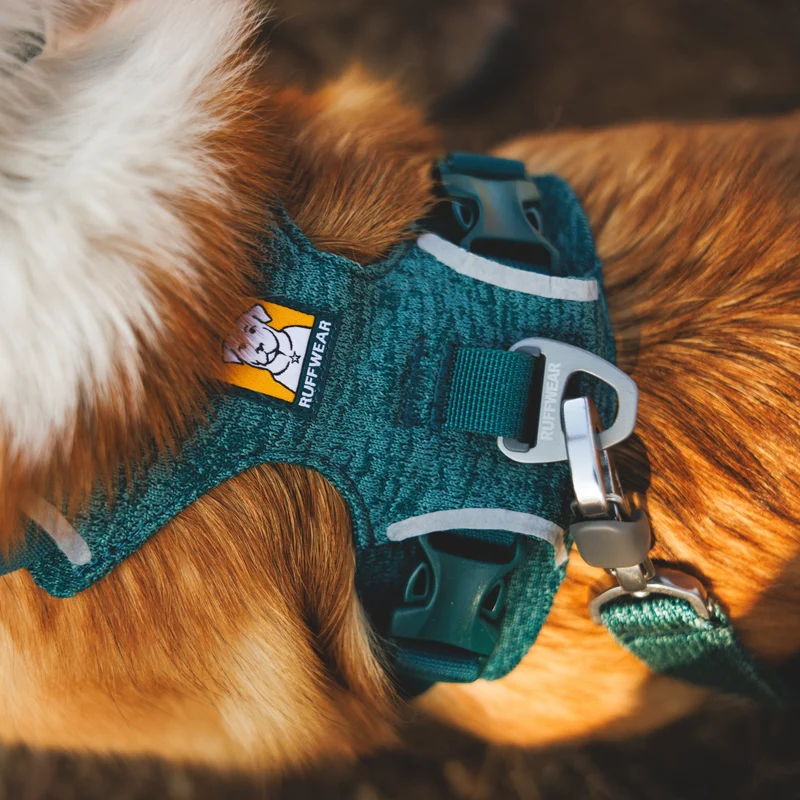 Ruffwear Front Range Flex Leash – Reflektierende Premium-Hundeleine mit weichem Griff für maximale Kontrolle und Komfort bei jedem Abenteuer