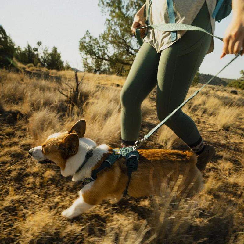 Ruffwear Front Range Flex Leash – Reflektierende Premium-Hundeleine mit weichem Griff für maximale Kontrolle und Komfort bei jedem Abenteuer