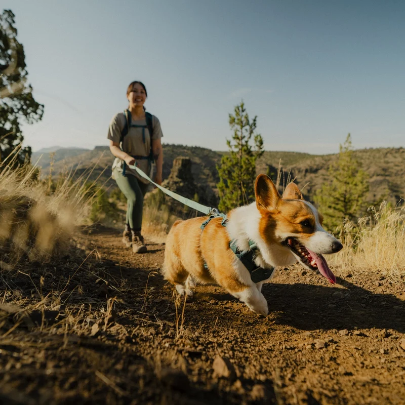 Ruffwear Front Range Flex Leash – Reflektierende Premium-Hundeleine mit weichem Griff für maximale Kontrolle und Komfort bei jedem Abenteuer