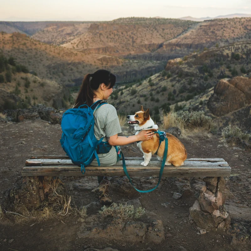 Ruffwear Front Range Flex Leash – Reflektierende Premium-Hundeleine mit weichem Griff für maximale Kontrolle und Komfort bei jedem Abenteuer