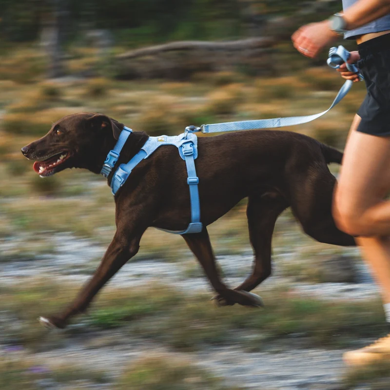 Ruffwear Front Range Flex Leash – Reflektierende Premium-Hundeleine mit weichem Griff für maximale Kontrolle und Komfort bei jedem Abenteuer