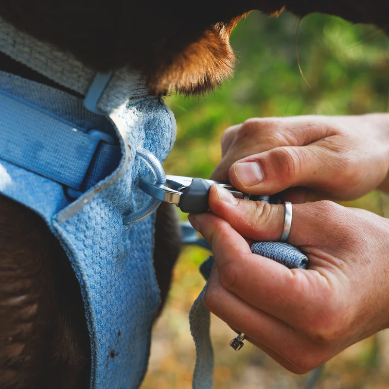 Ruffwear Front Range Flex Leash – Reflektierende Premium-Hundeleine mit weichem Griff für maximale Kontrolle und Komfort bei jedem Abenteuer