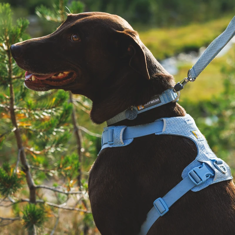 Ruffwear Front Range Flex Leash – Reflektierende Premium-Hundeleine mit weichem Griff für maximale Kontrolle und Komfort bei jedem Abenteuer